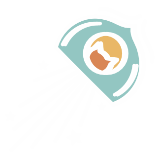 The strategic graphic design process at Cosmic Creations. Blast off!