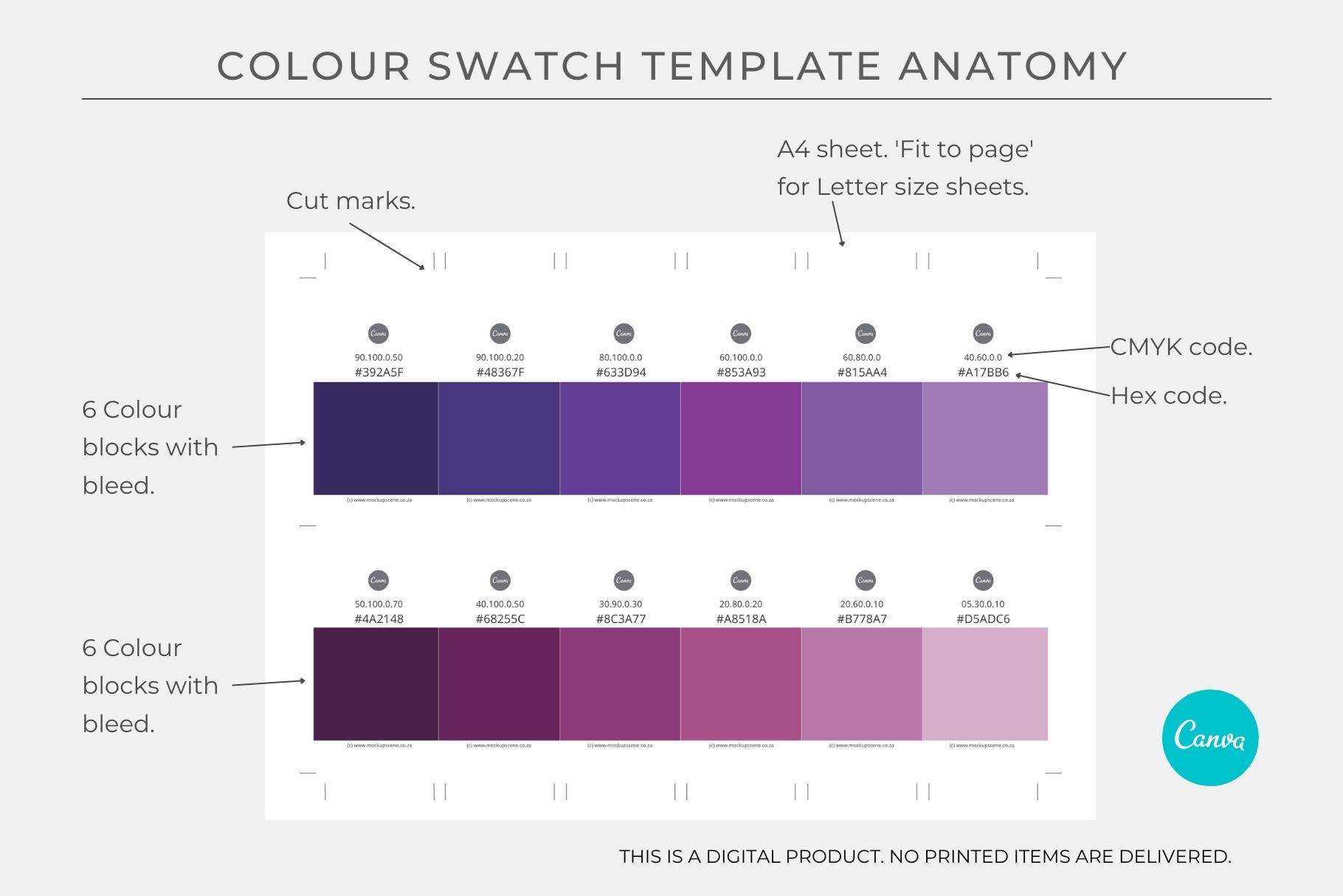 84 Colour Swatch Cards, Canva Template - Image 3